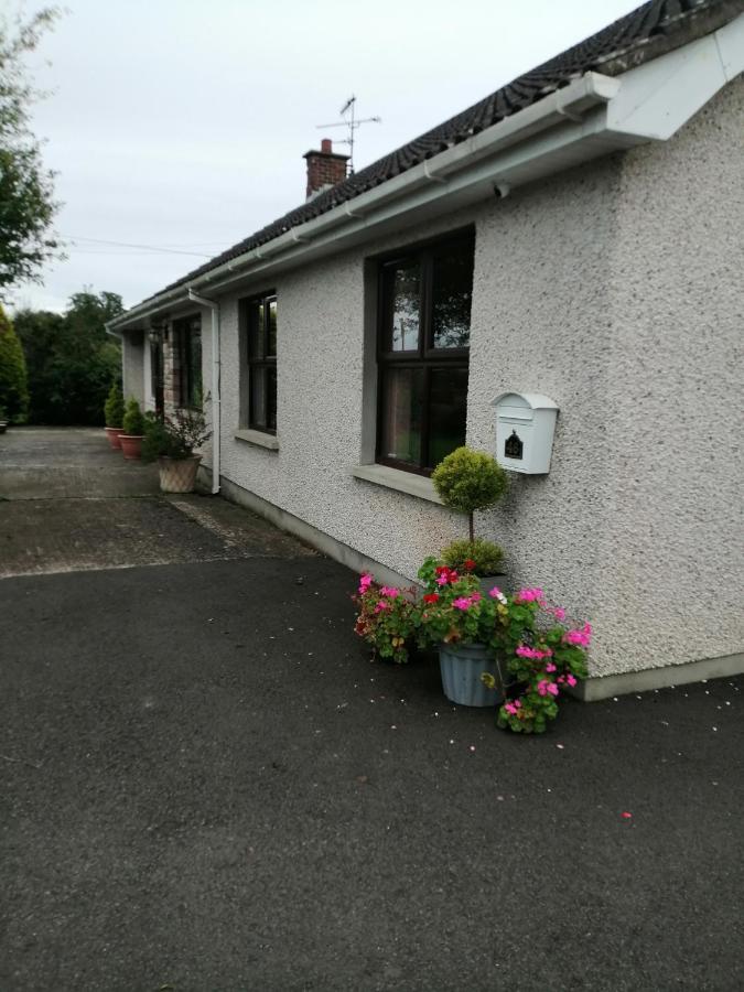 Lynn'S Lodge, International Airport 15Mins Randalstown ภายนอก รูปภาพ
